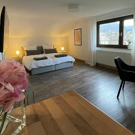 St-apartments Charming 3 - Helles Dachgeschoss-studio Mit Doppelbett Oder Zwei Einzelbetten - Schoenem Ausblick In Ruhiger Lage Und Parkplaetzen Direkt Vor Dem Haus * غايزلينغن آن در اشتايغه